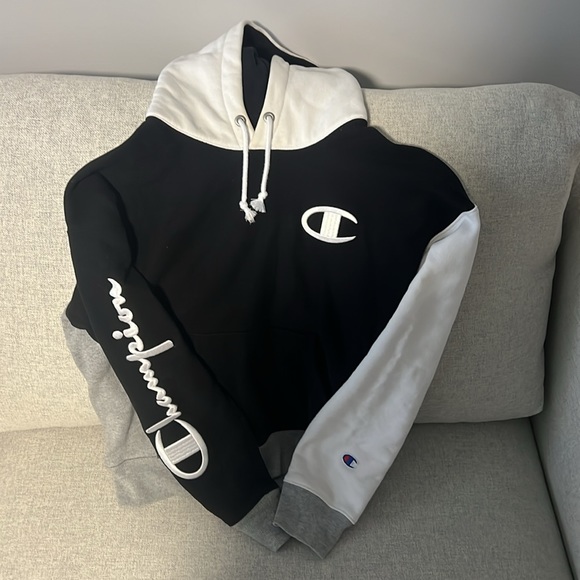 Champion Colorblock Sweatshirt SIZE S - Picture 2 of 4